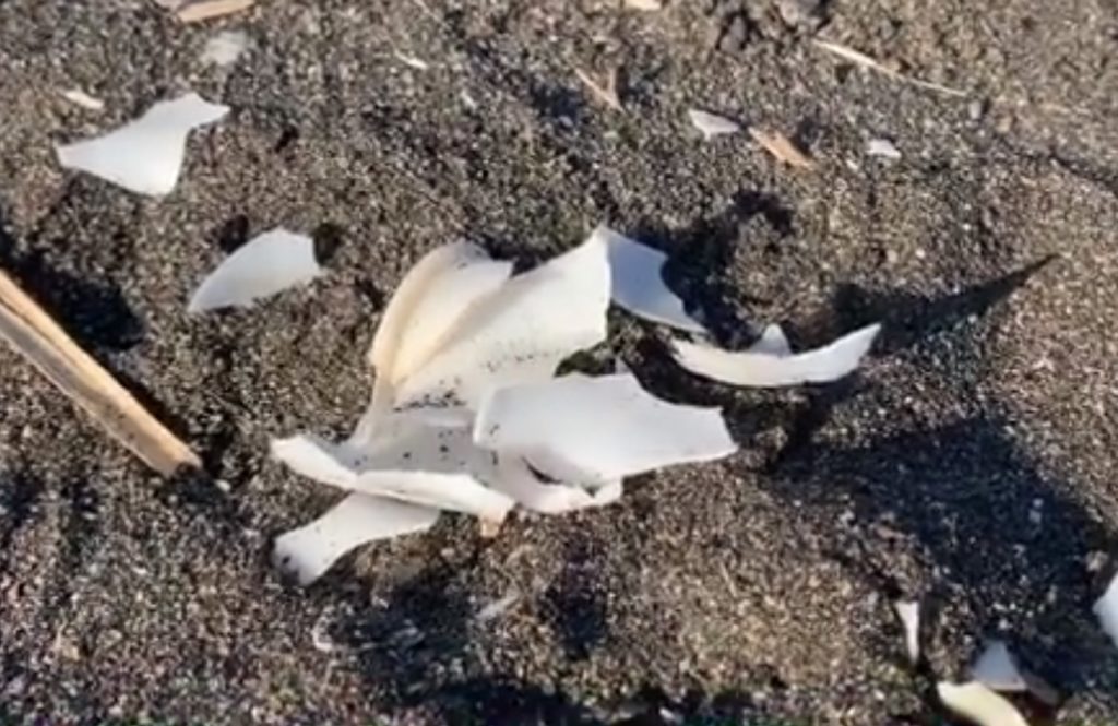 basura en la playa