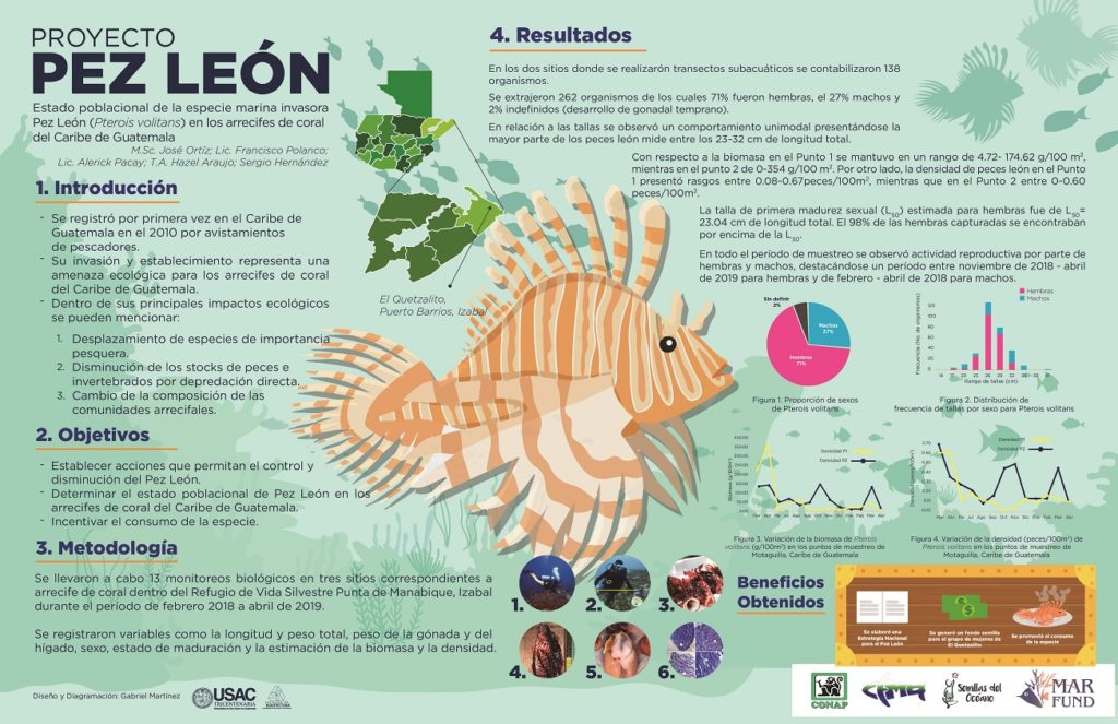 afiche pez leon