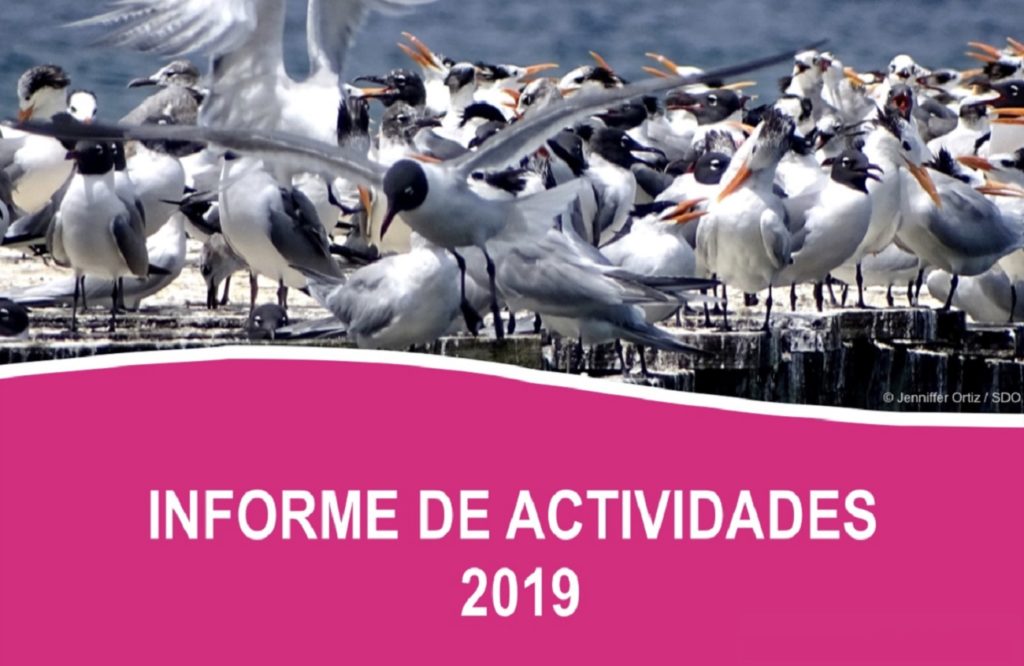 informe labores 2019